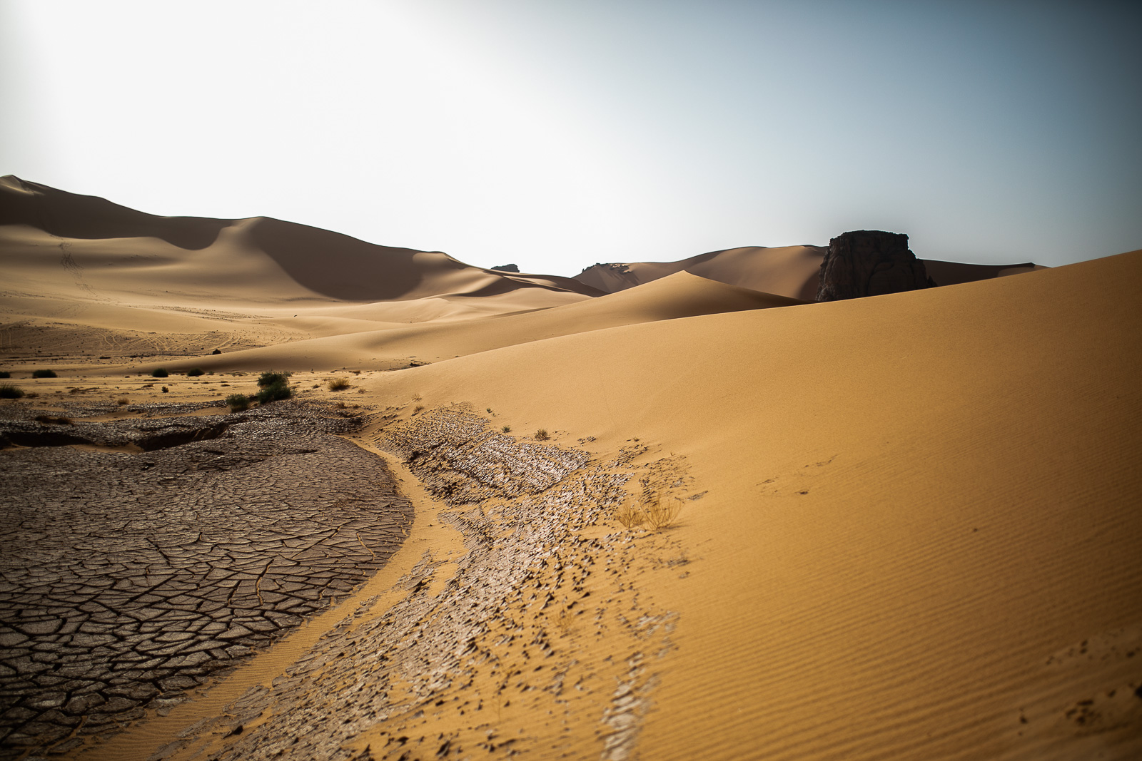 Human & Nature  outoftime 68